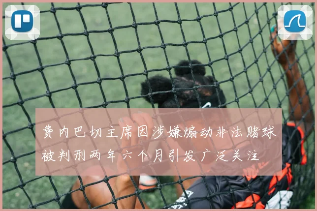 费内巴切主席因涉嫌煽动非法赌球被判刑两年六个月引发广泛关注